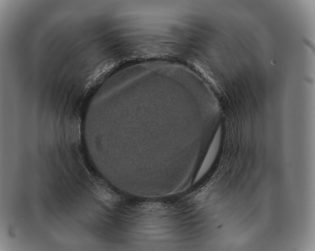 X0000091190685200708231509