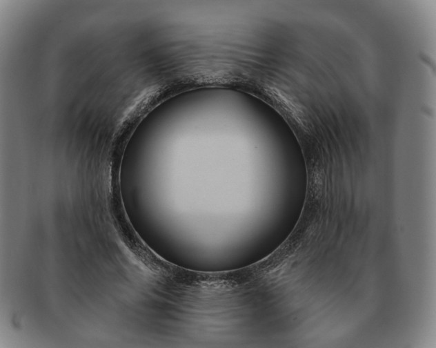 X0000091190686200708231509