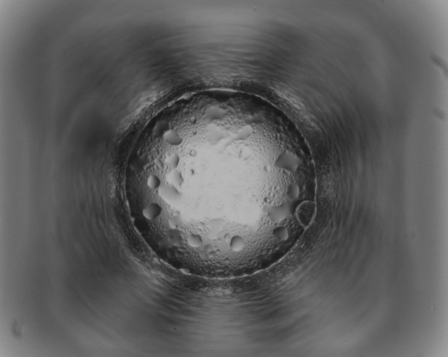 X0000091190687200708231509