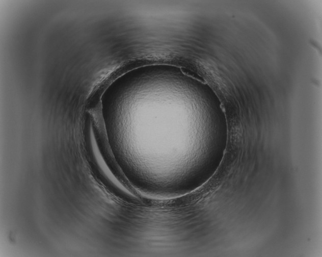 X0000091190688200708231509