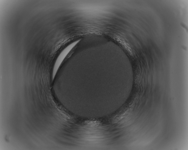 X0000091190689200708231509