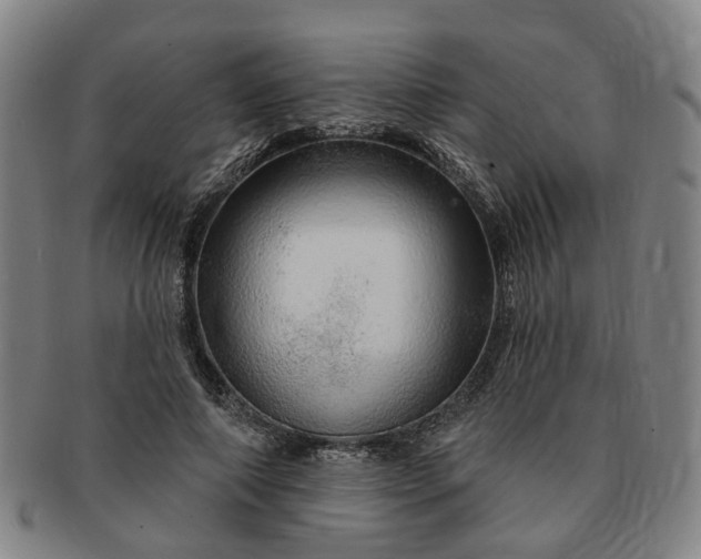 X0000091190690200708231509