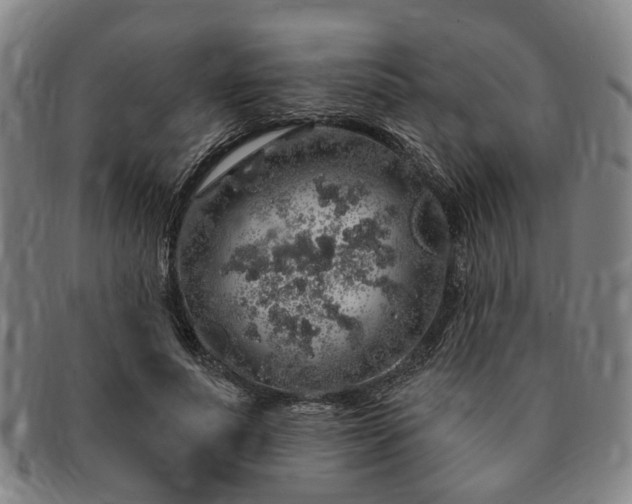 X0000091190691200708231509