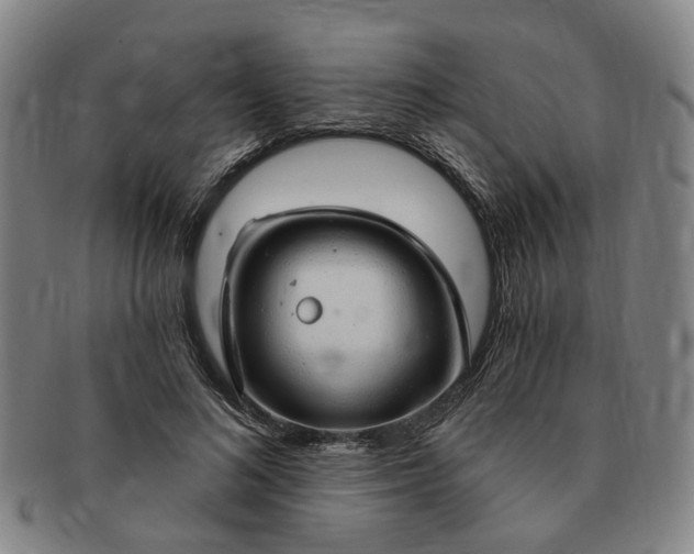 X0000091190692200708231509