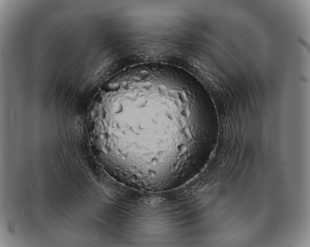 X0000091190695200708231509