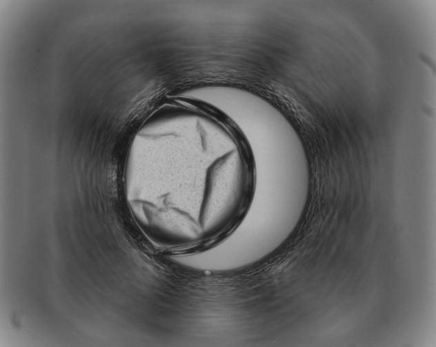 X0000091190696200708231509