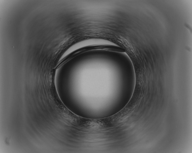 X0000091190697200708231509