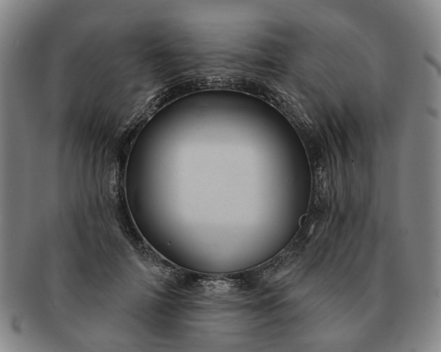 X0000091190698200708231509