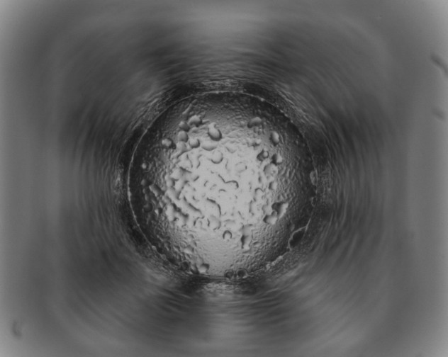 X0000091190699200708231509