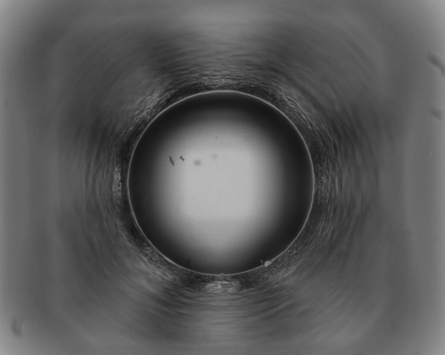 X0000091190700200708231509