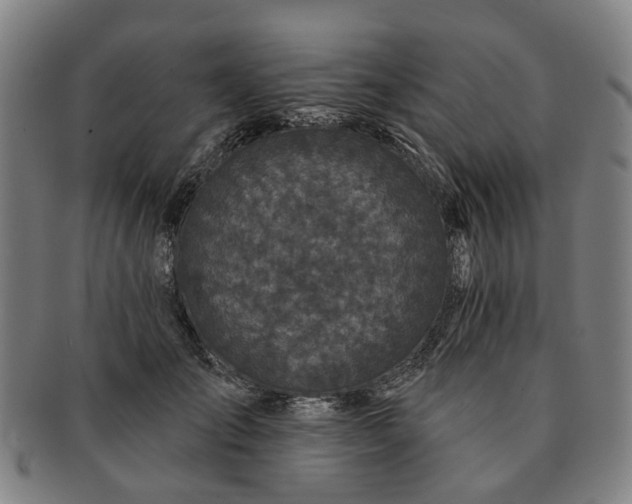 X0000091190701200708231509