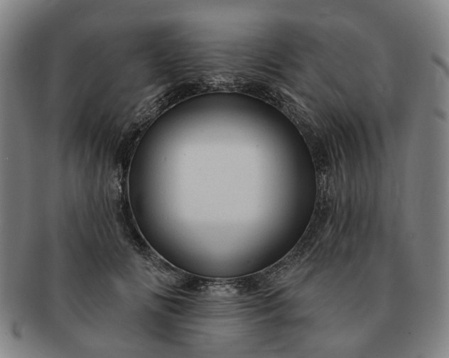 X0000091190702200708231509