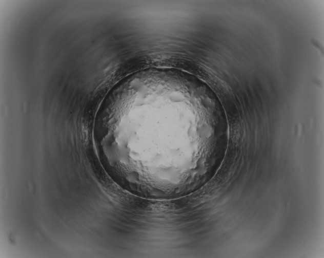 X0000091190703200708231509