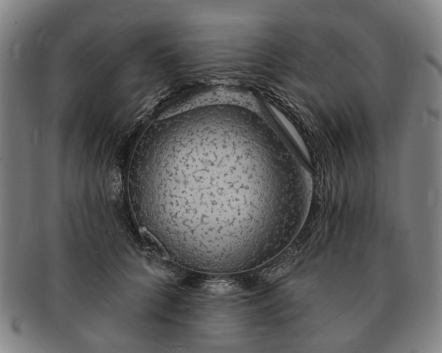 X0000091190704200708231509