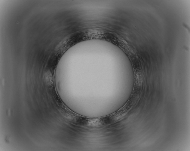 X0000091190705200708231509