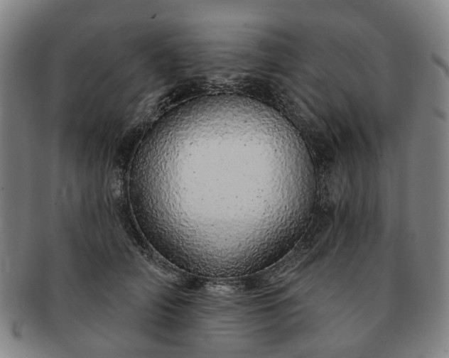 X0000091190706200708231509