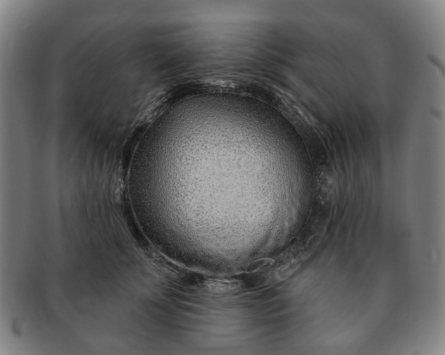 X0000091190707200708231509