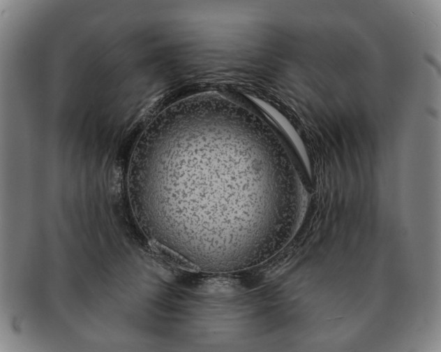 X0000091190708200708231509