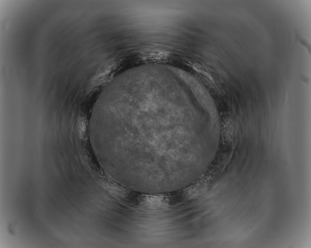 X0000091190709200708231509