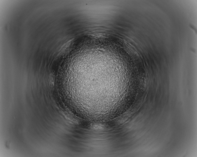 X0000091190710200708231509