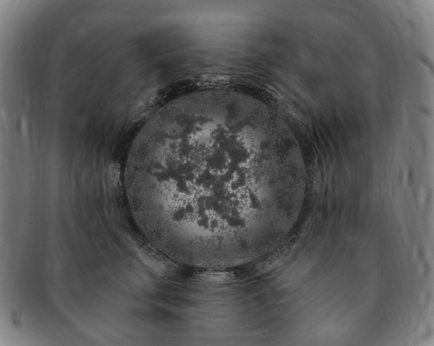 X0000091190711200708231509