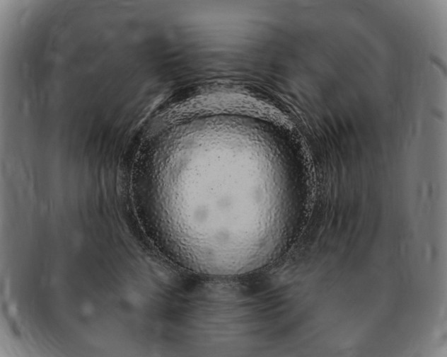 X0000091190712200708231509