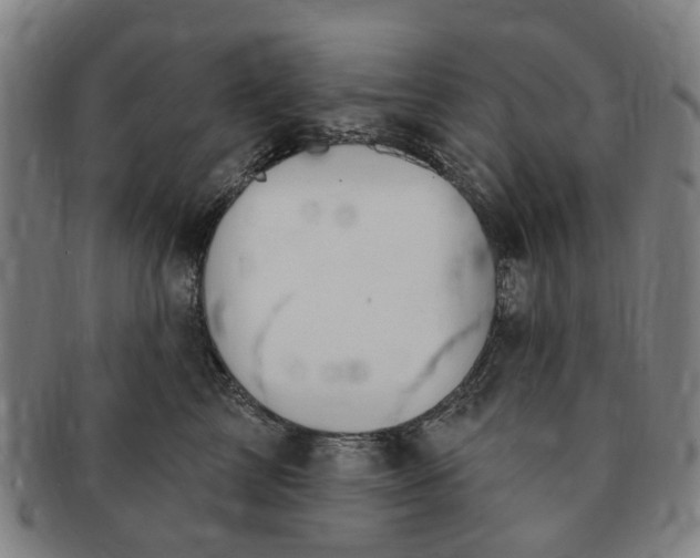 X0000091190713200708231509