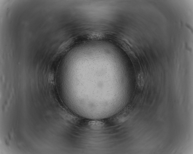 X0000091190714200708231509