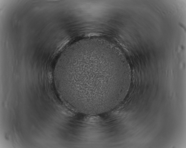 X0000091190716200708231509