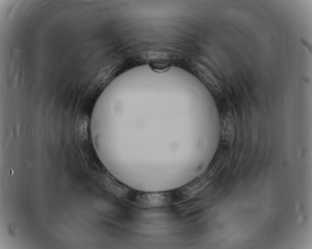 X0000091190717200708231508