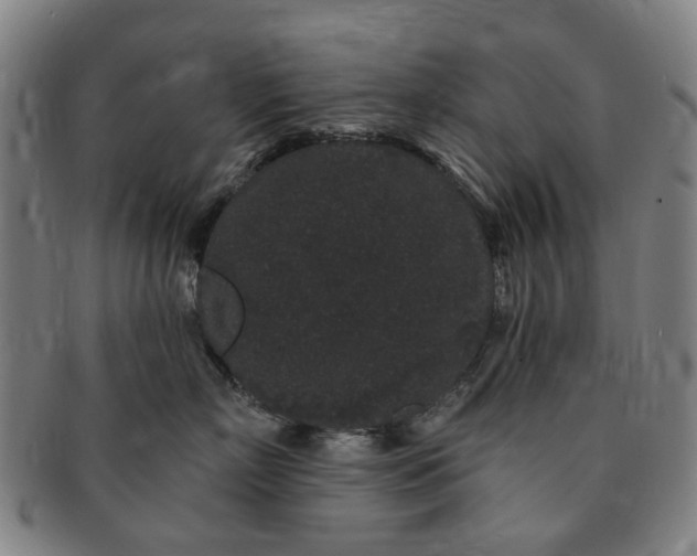 X0000091190718200708231508