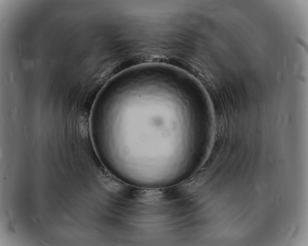 X0000091190719200708231508