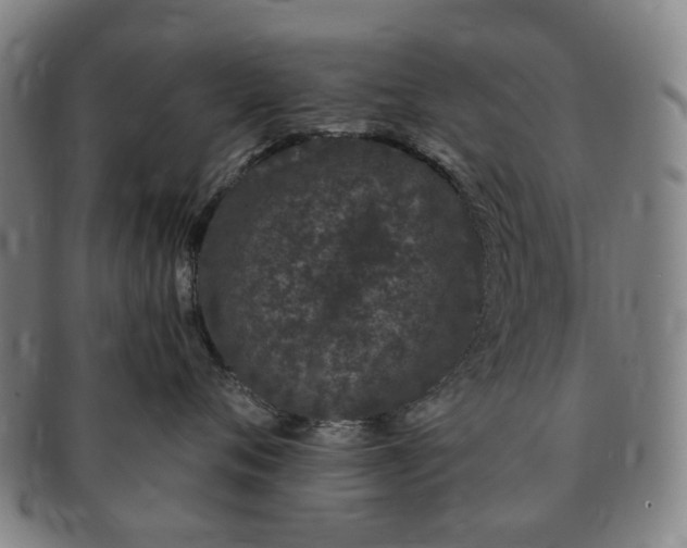 X0000091190720200708231508