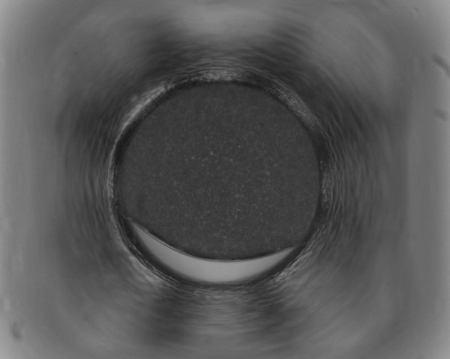 X0000091190722200708231508