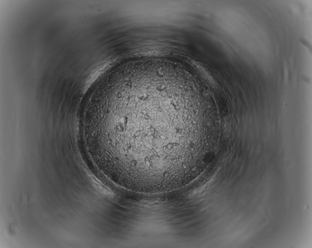 X0000091190725200708231508