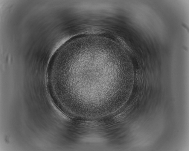 X0000091190726200708231508