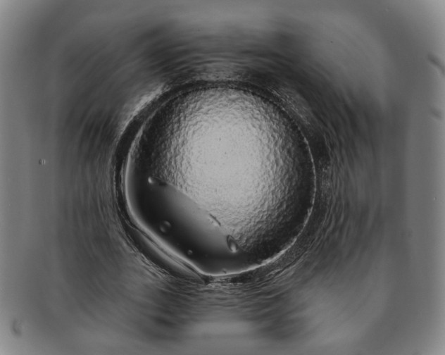 X0000091190727200708231508