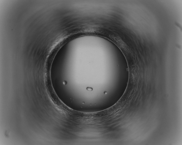 X0000091190728200708231508