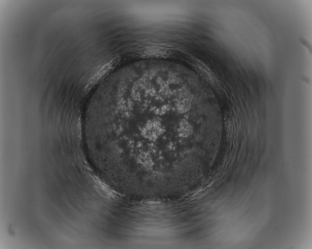 X0000091190729200708231508