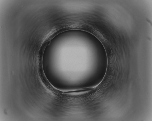 X0000091190730200708231508