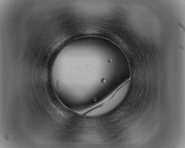 X0000091190732200708231508