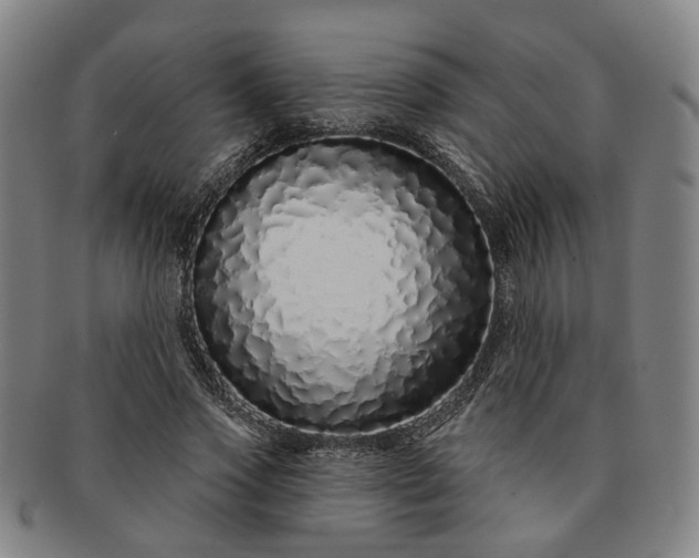 X0000091190733200708231508