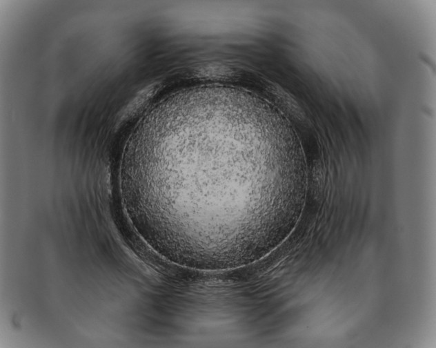 X0000091190734200708231508