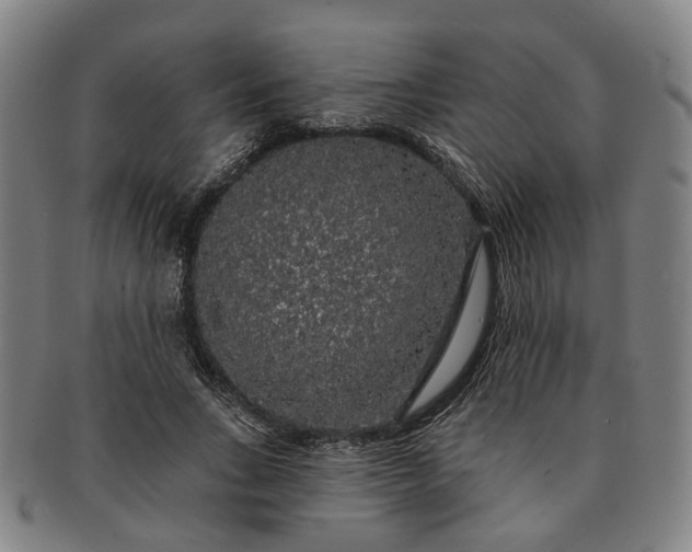 X0000091190735200708231508