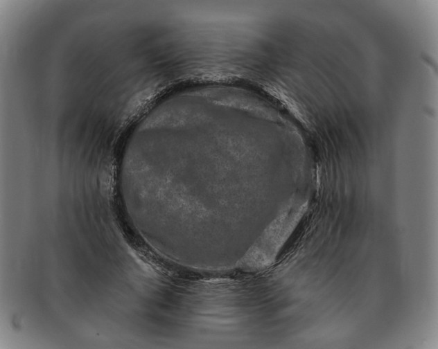 X0000091190736200708231508