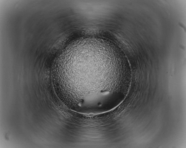 X0000091190737200708231508