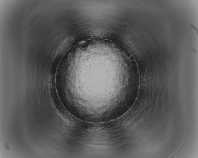 X0000091190738200708231508