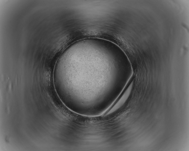 X0000091190739200708231508