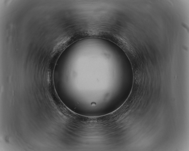 X0000091190740200708231508