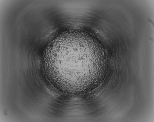 X0000091190741200708231508